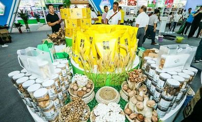 對(duì)接長(zhǎng)三角市場(chǎng)！阜陽組團(tuán)參加上海農(nóng)交會(huì)，食用油產(chǎn)品受關(guān)注