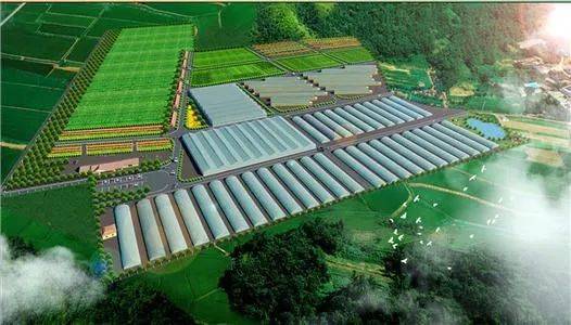 推動(dòng)產(chǎn)業(yè)升級(jí) 2023年農(nóng)業(yè)農(nóng)村部重點(diǎn)發(fā)展鄉(xiāng)村旅游與農(nóng)產(chǎn)品精深加工